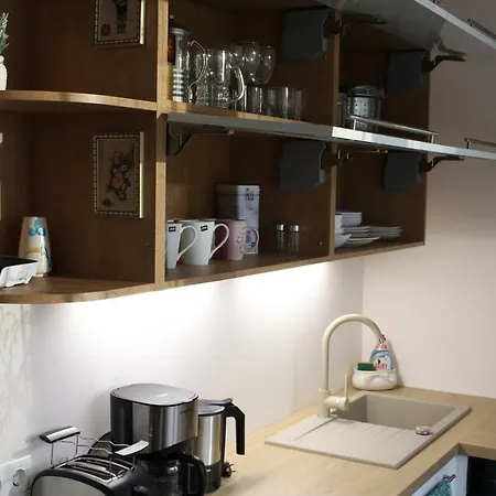 Akord Centrum With Free Parking Διαμέρισμα Παρνού