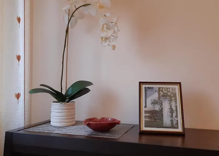 Akord Centrum With Free Parking * Parnu